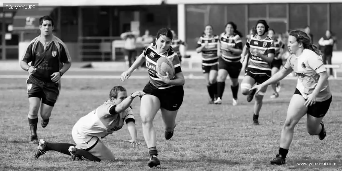 高清直播,实时互动,身临其境!🎯